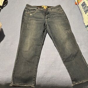 Cropped Democracy Blue Women's Jeans